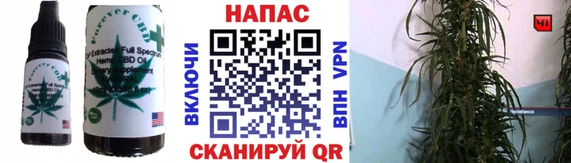 Купить закладки  Большой Камень  Печенье с ТГК конопля 