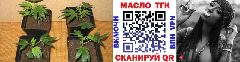 Купить  Большой Камень  ТГК THC oil 