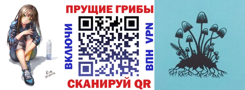 Галлюциногенные грибы Cubensis  Купить  Большой Камень 